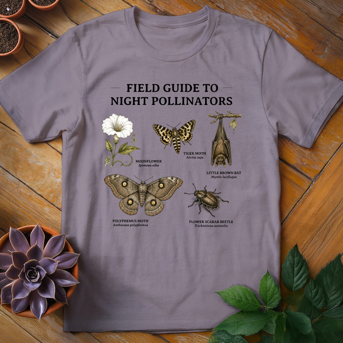 Field Guide to Night Pollinators Tee T-Shirt Paragon / S