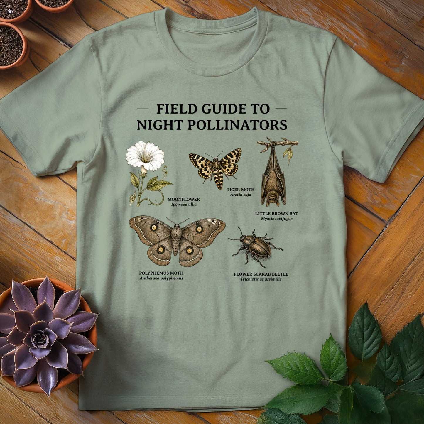 Field Guide to Night Pollinators Tee T-Shirt Sage / S
