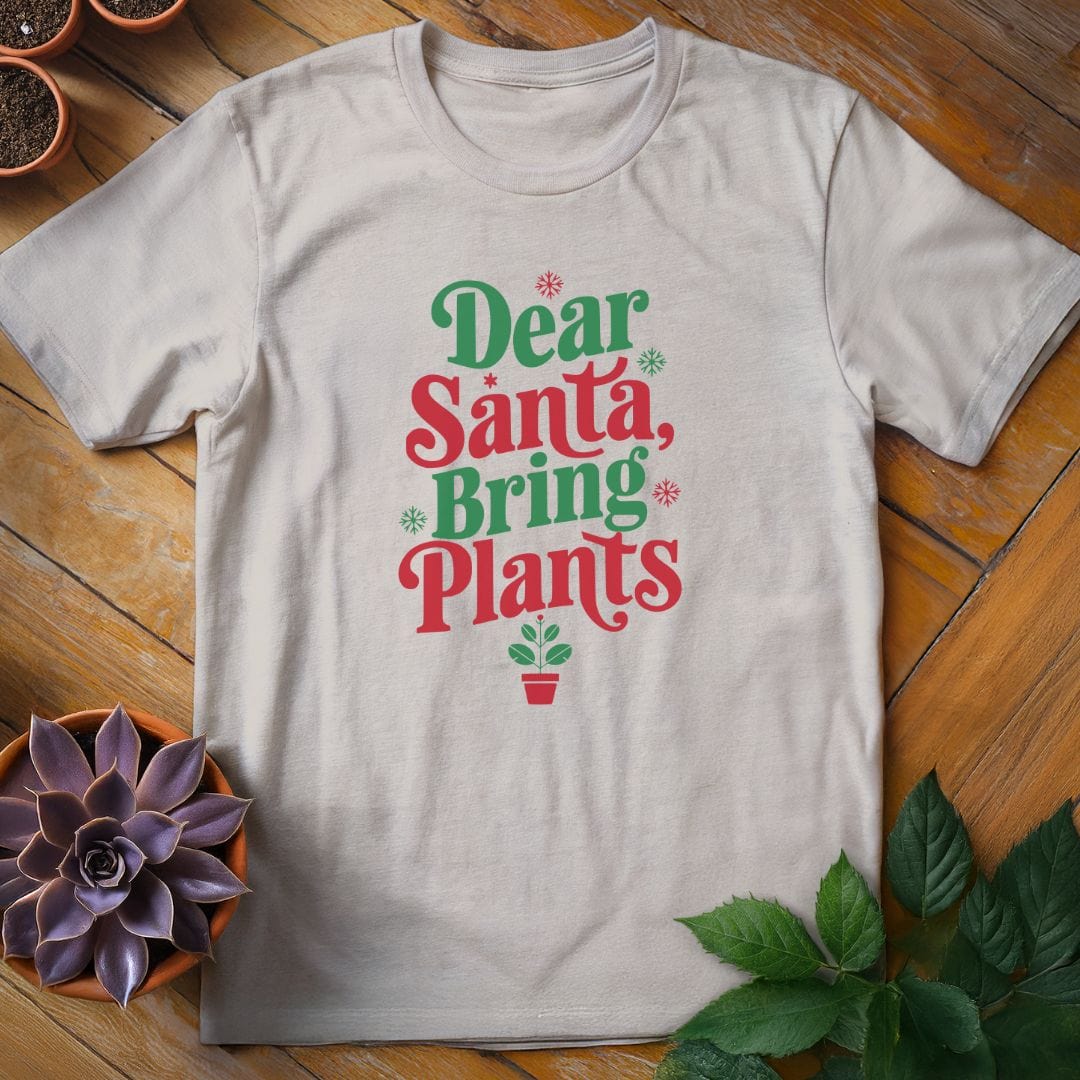 Dear Santa Tee T-Shirt Ice Grey / S