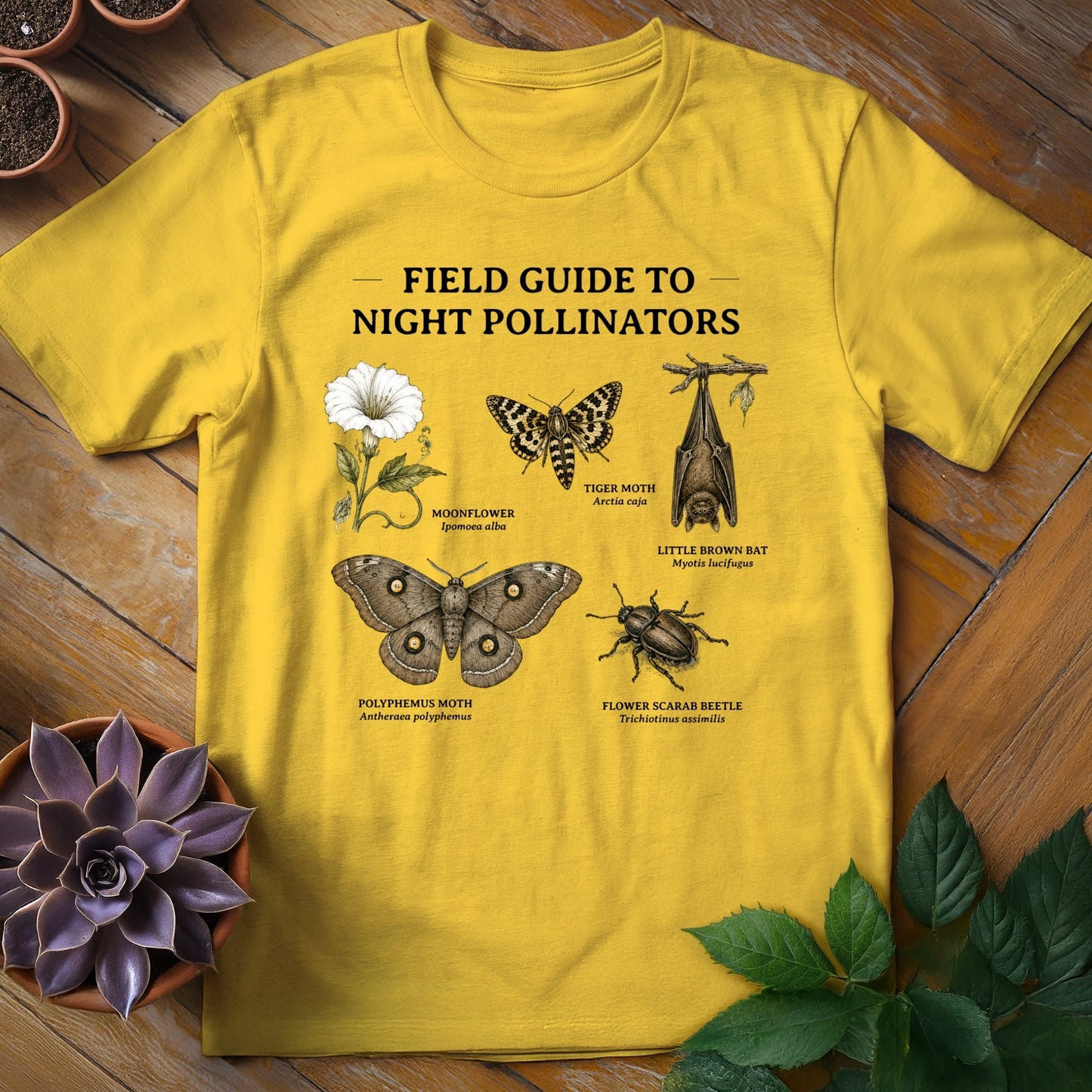 Field Guide to Night Pollinators Tee T-Shirt Daisy / S