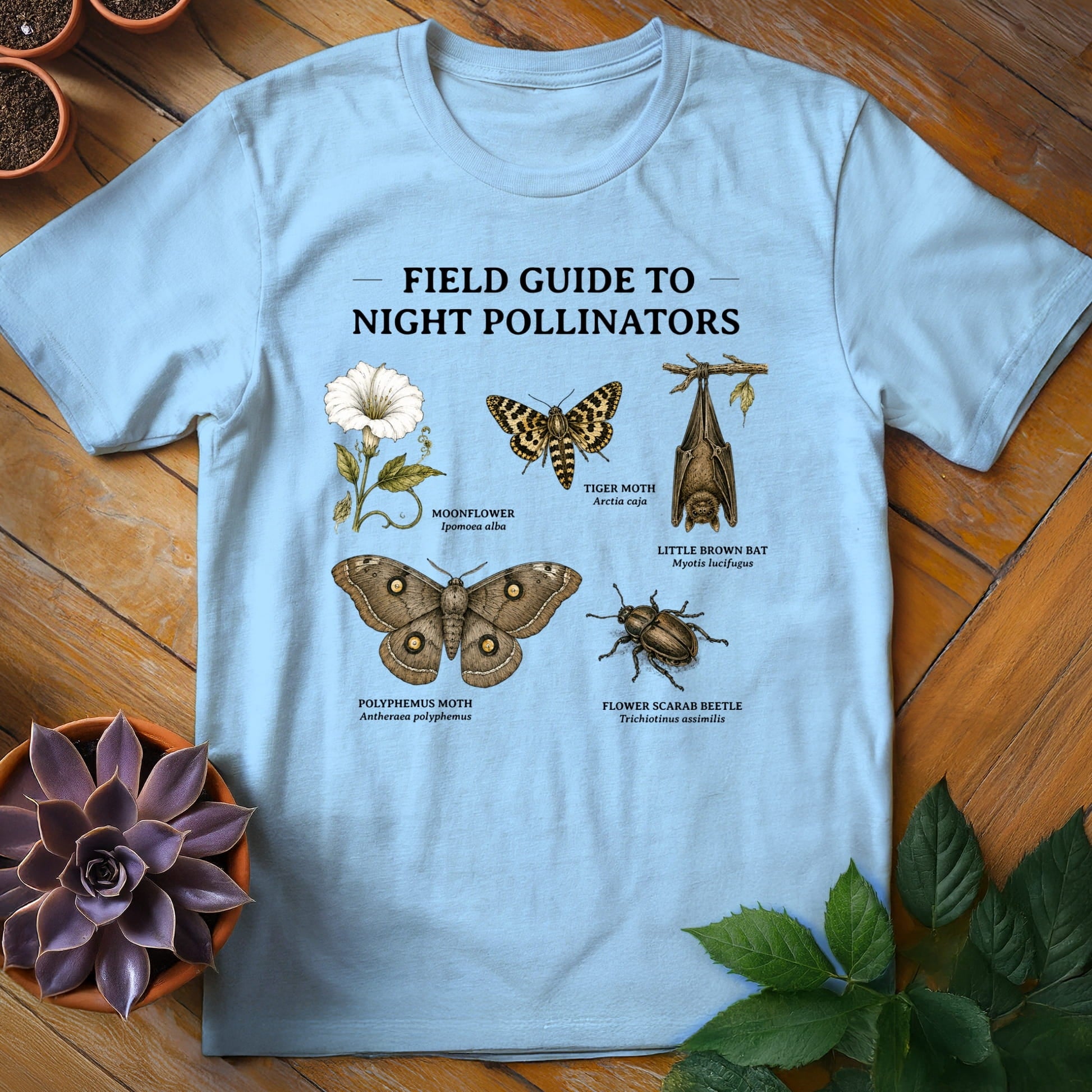 Field Guide to Night Pollinators Tee T-Shirt Light Blue / S