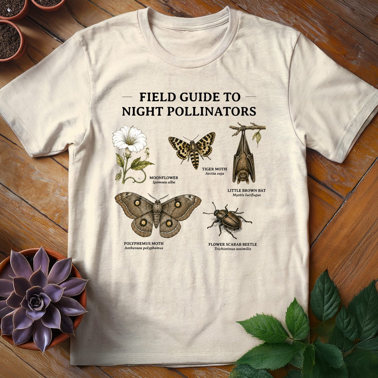 Field Guide to Night Pollinators Tee T-Shirt Natural / S