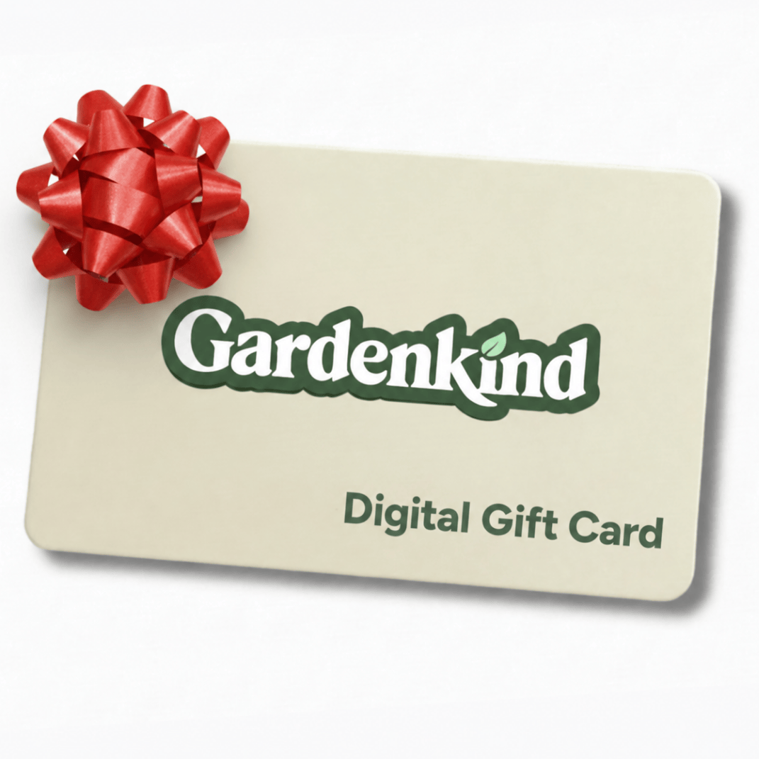 🎁 Gift Card